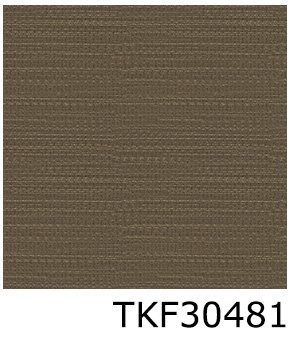 TKF30481
