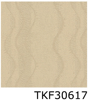 TKF30617
