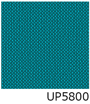 UP5800

