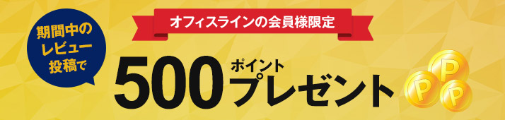 レビュー投稿で500ポイントプレゼントキャンペーン