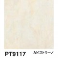 PT9117
