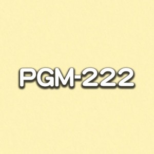 PGM-222