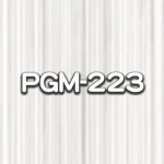 PGM-223