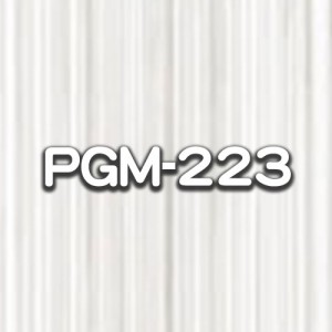PGM-223