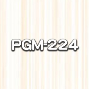 PGM-224