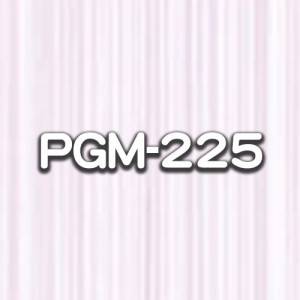 PGM-225
