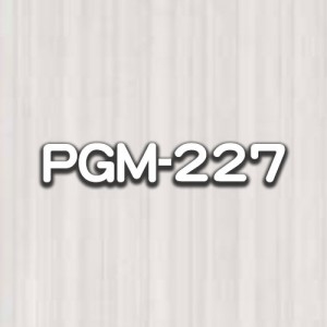 PGM-227