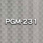 PGM-231