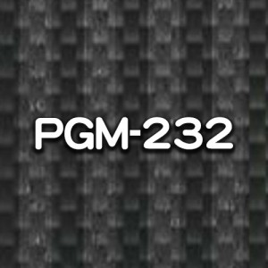 PGM-232