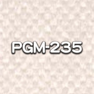 PGM-235