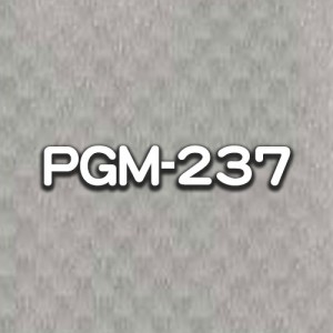 PGM-237