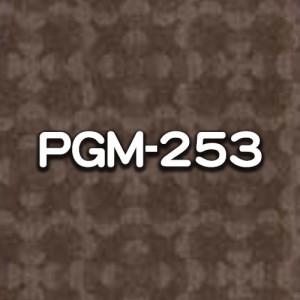 PGM-253