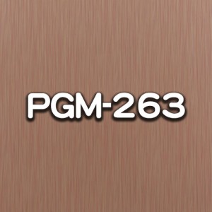 PGM-263