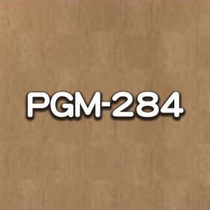 PGM-284