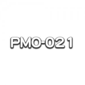 PMO-021