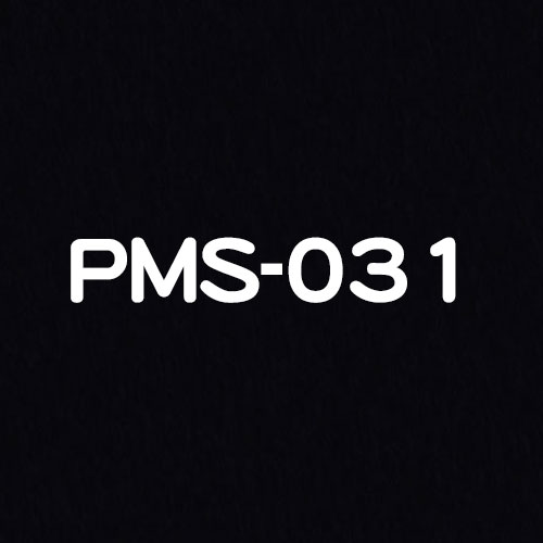 PMS-031
