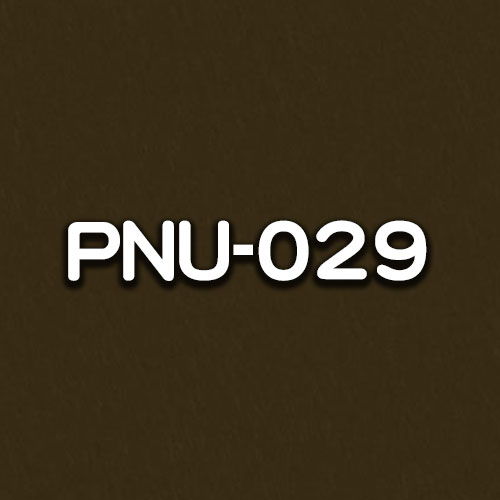 PNU-029