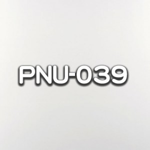 PNU-039