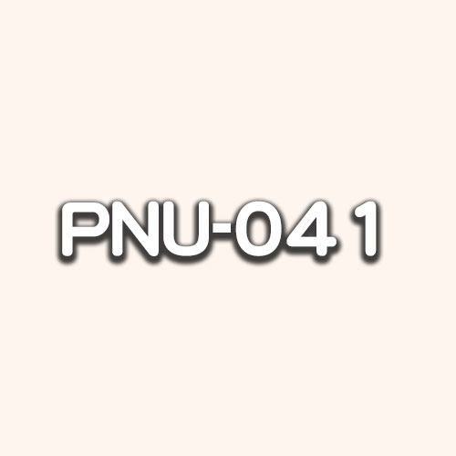 PNU-041