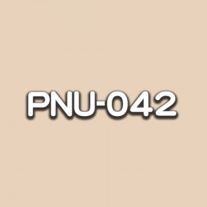 PNU-042