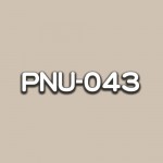 PNU-043