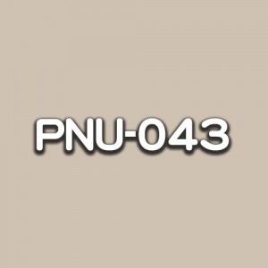 PNU-043
