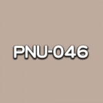 PNU-046