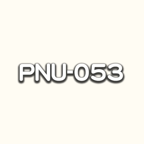 PNU-053