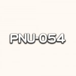 PNU-054