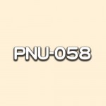 PNU-058