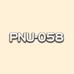 PNU-058