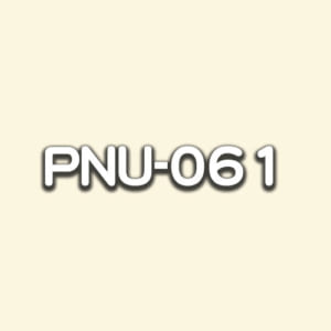 PNU-061
