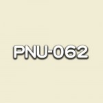 PNU-062