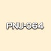 PNU-064