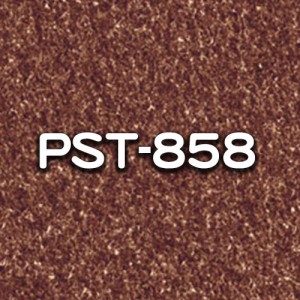 PST-858