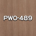 PWO-489