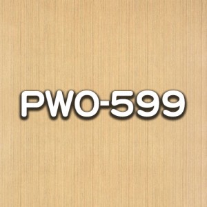 PWO-599