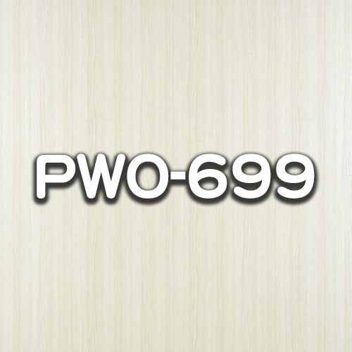 PWO-699