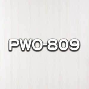 PWO-809