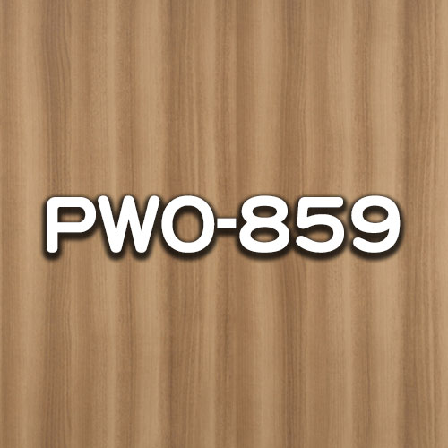 PWO-859