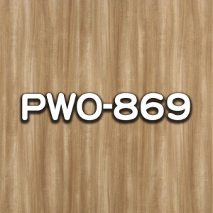 PWO-869