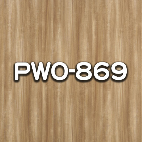PWO-869