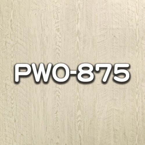 PWO-875