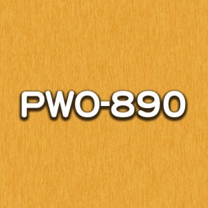 PWO-890