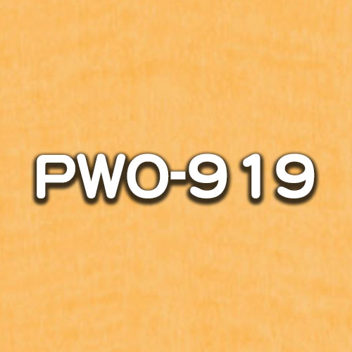 PWO-919