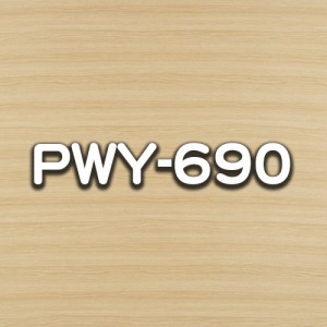 PWY-690