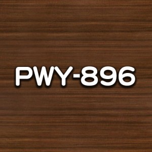 PWY-896