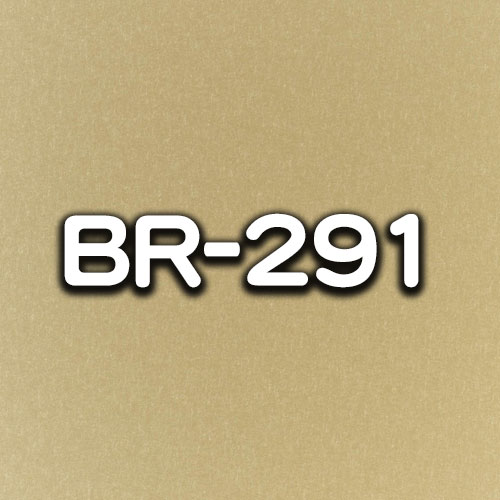 BR-291