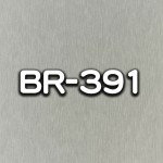 BR-391