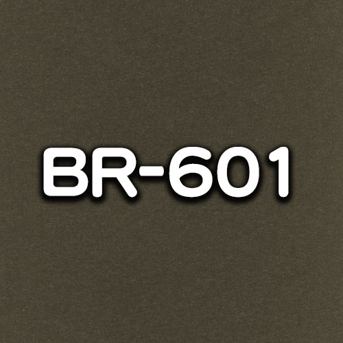 BR-601